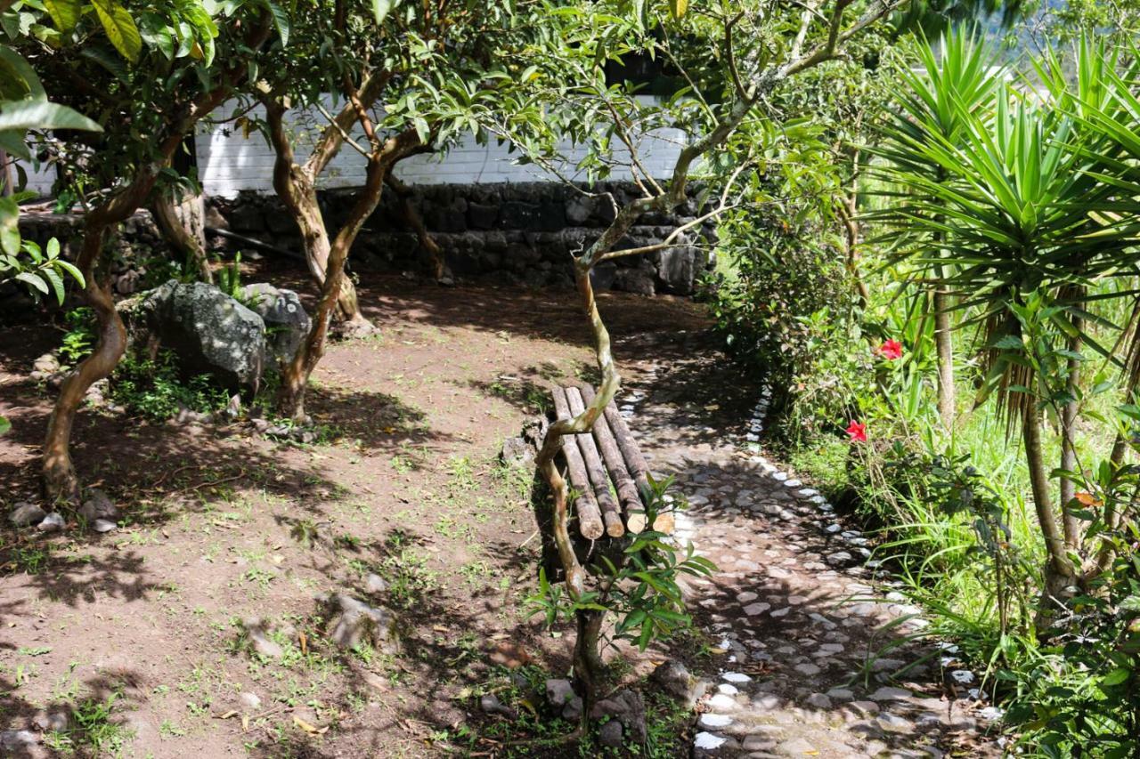 Hosteria El Trapiche Lodge & Spa バーニョス エクステリア 写真