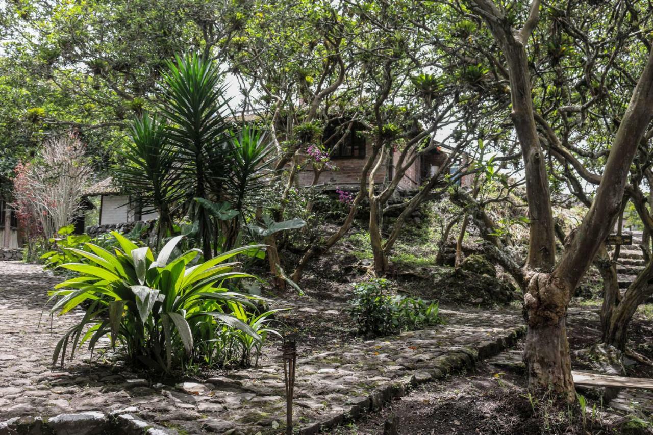 Hosteria El Trapiche Lodge & Spa バーニョス エクステリア 写真